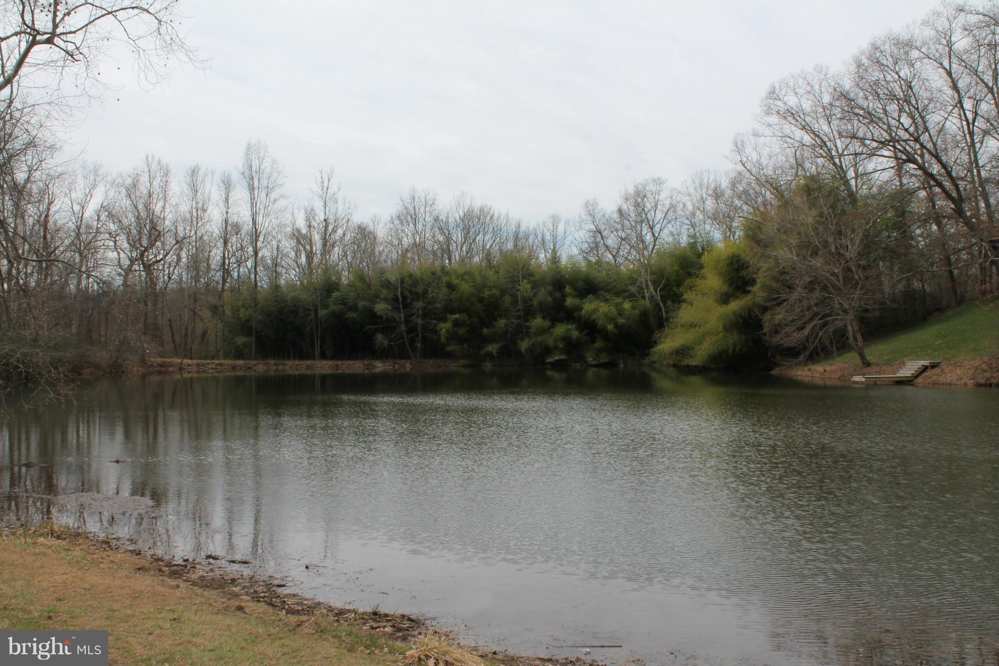 10389 River Road Rixeyville, VA 22737 - Photo 20 of 20 View