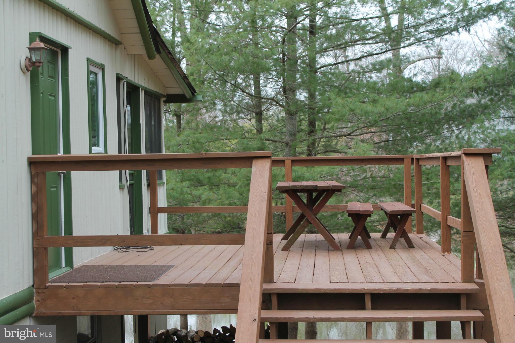10389 River Road Rixeyville, VA 22737 - Photo 3 of 20 Side Porch