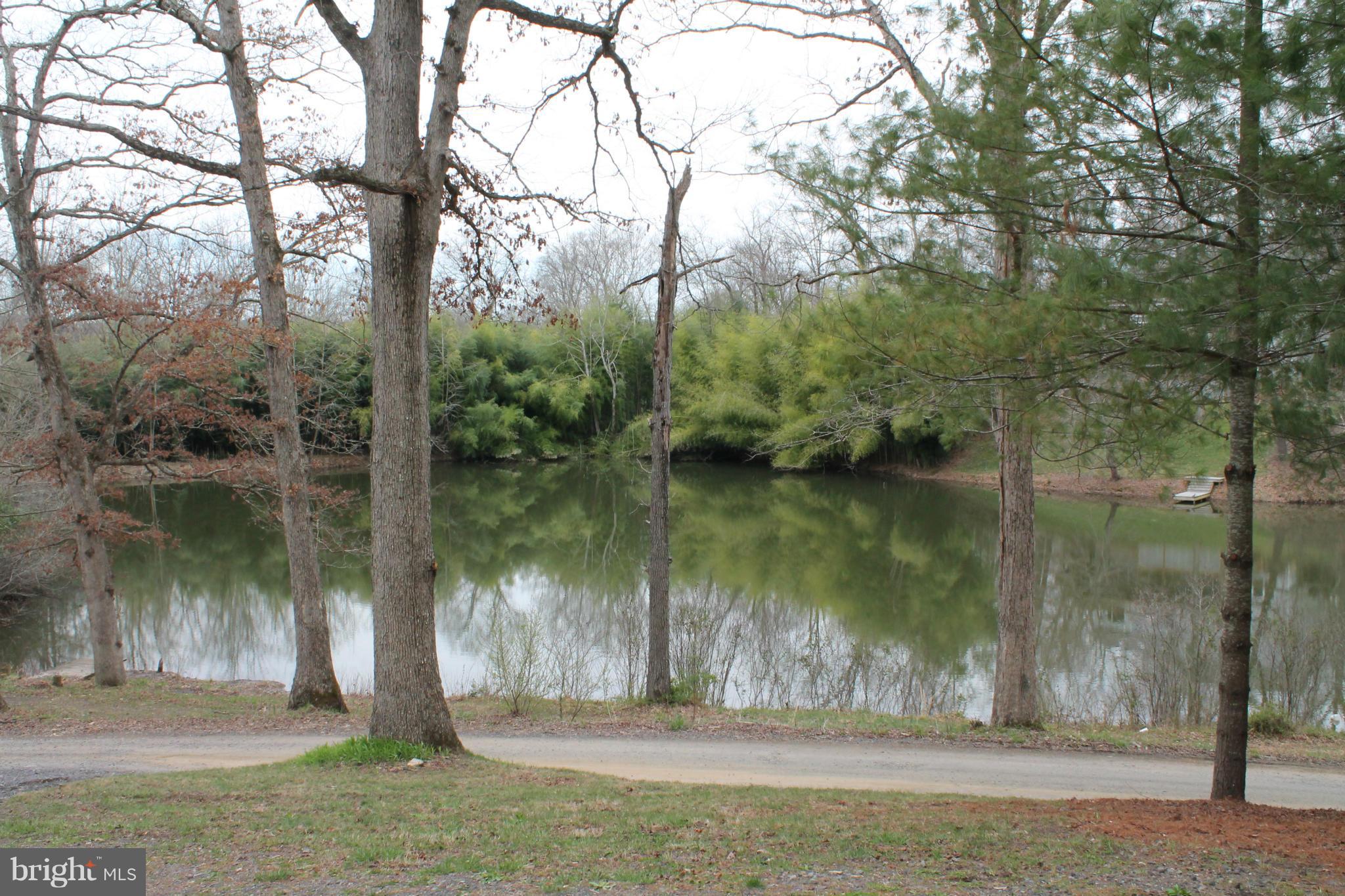 10389 River Road Rixeyville, VA 22737 - Photo 4 of 20 View from screened porch