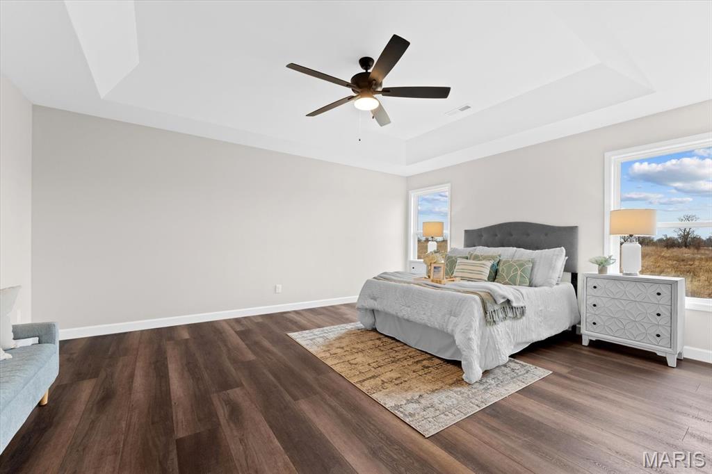 707 Bridgeway Drive O'Fallon, IL 62269 - Photo 20 of 49