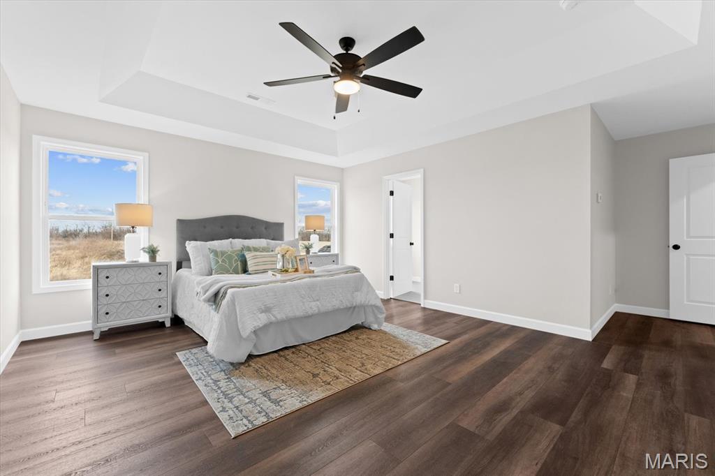 707 Bridgeway Drive O'Fallon, IL 62269 - Photo 21 of 49