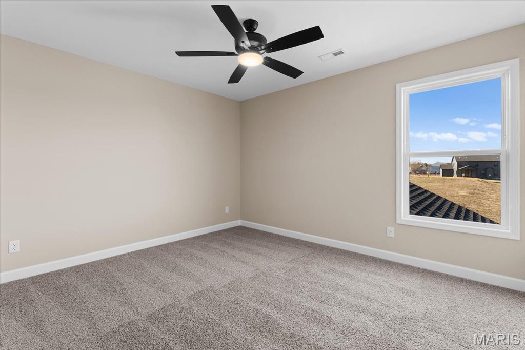 707 Bridgeway Drive O'Fallon, IL 62269 - Photo 31 of 49