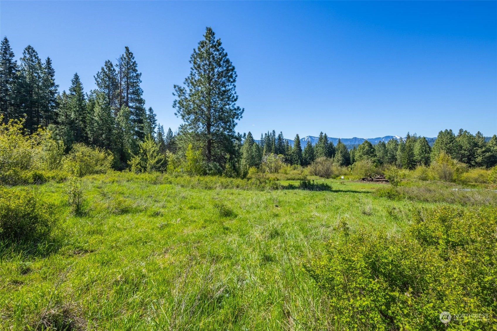 0 Double O (parcel C) Road Ronald, WA 98940 - Photo 1 of 29 Gallery Image 1