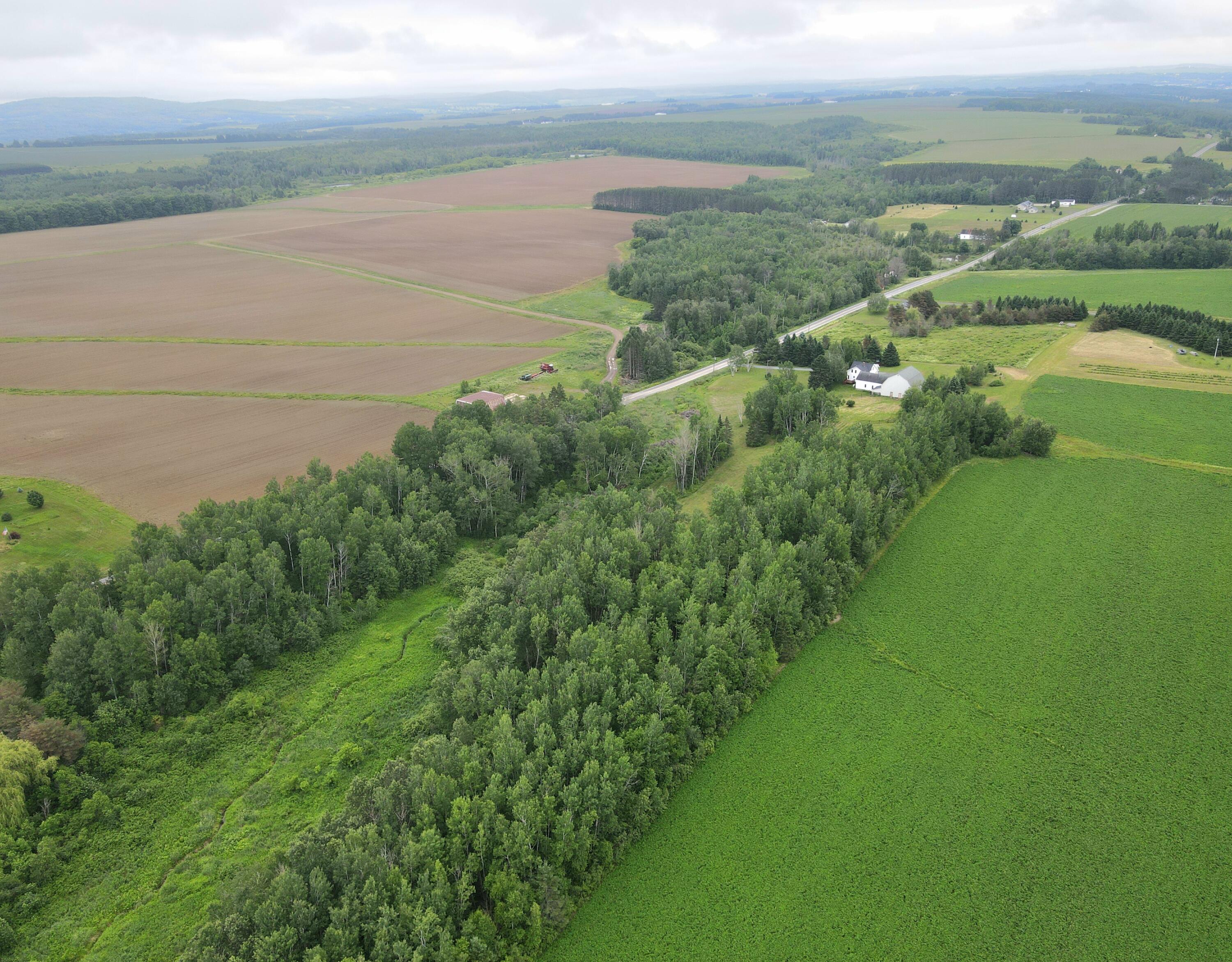 228 McBurnie Road Presque Isle, ME 04769 - Photo 15 of 53 dji_fly_20250629_162012_564_175122950687