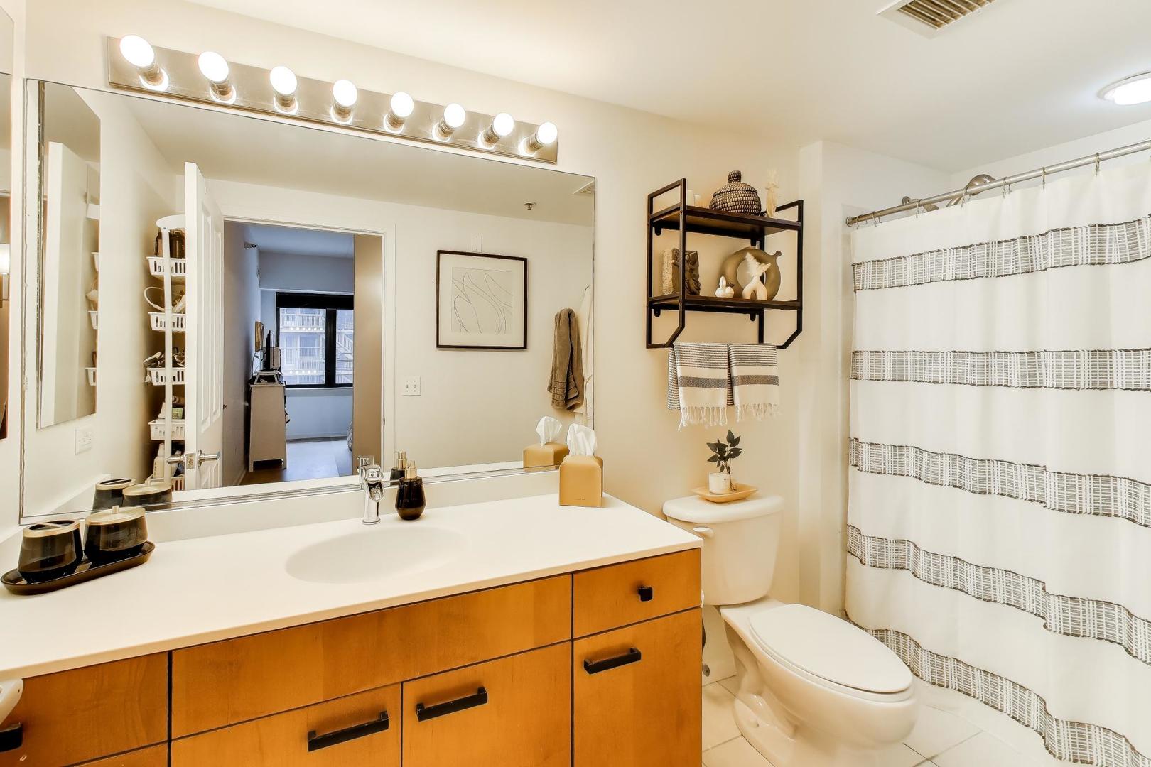4848 North Sheridan Road, Unit 203 Chicago, IL 60640 - Photo 18 of 32 a bathroom with a sink vanity mirror and toilet