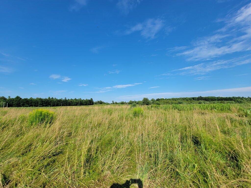 Lot 2 East Road Chesterville, ME 04938 - Photo 13 of 39 20240718_164934