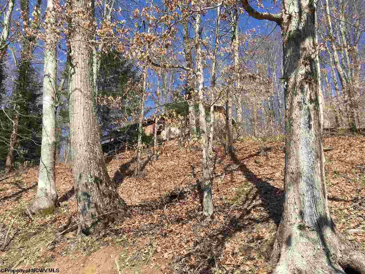 1423 Little Sand Run Road Buckhannon, WV 26201 - Photo 7 of 8 Gallery Image 7