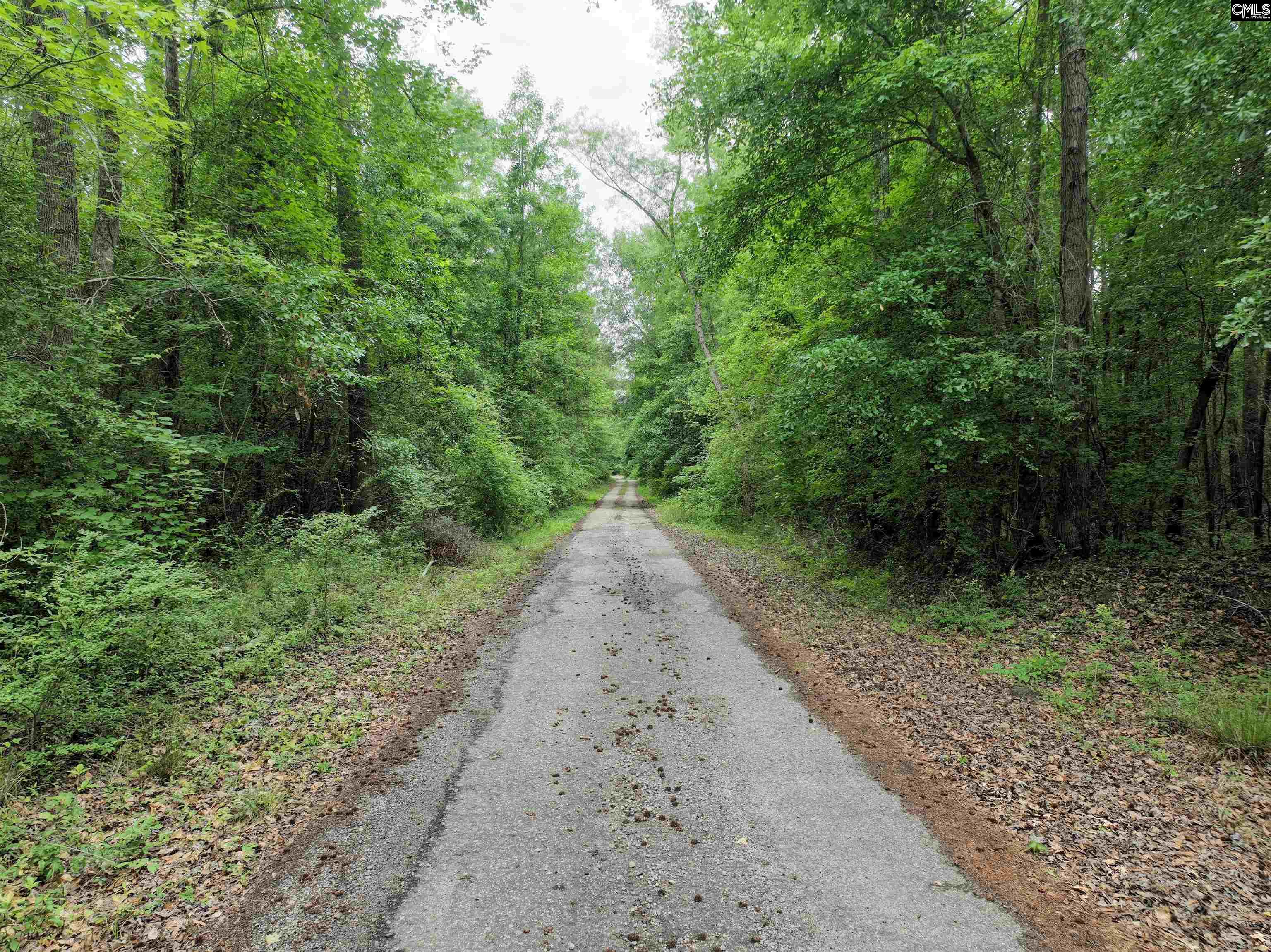 1141 Crosshill Road Hopkins, SC 29061 - Photo 36 of 38