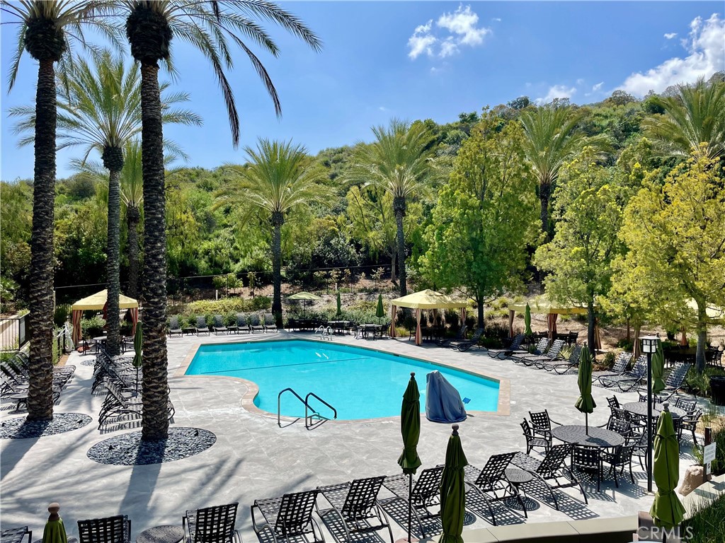 24575 Lowe Drive Corona, CA 92883 - Photo 35 of 44 a view of a swimming pool with lawn chairs under an umbrella