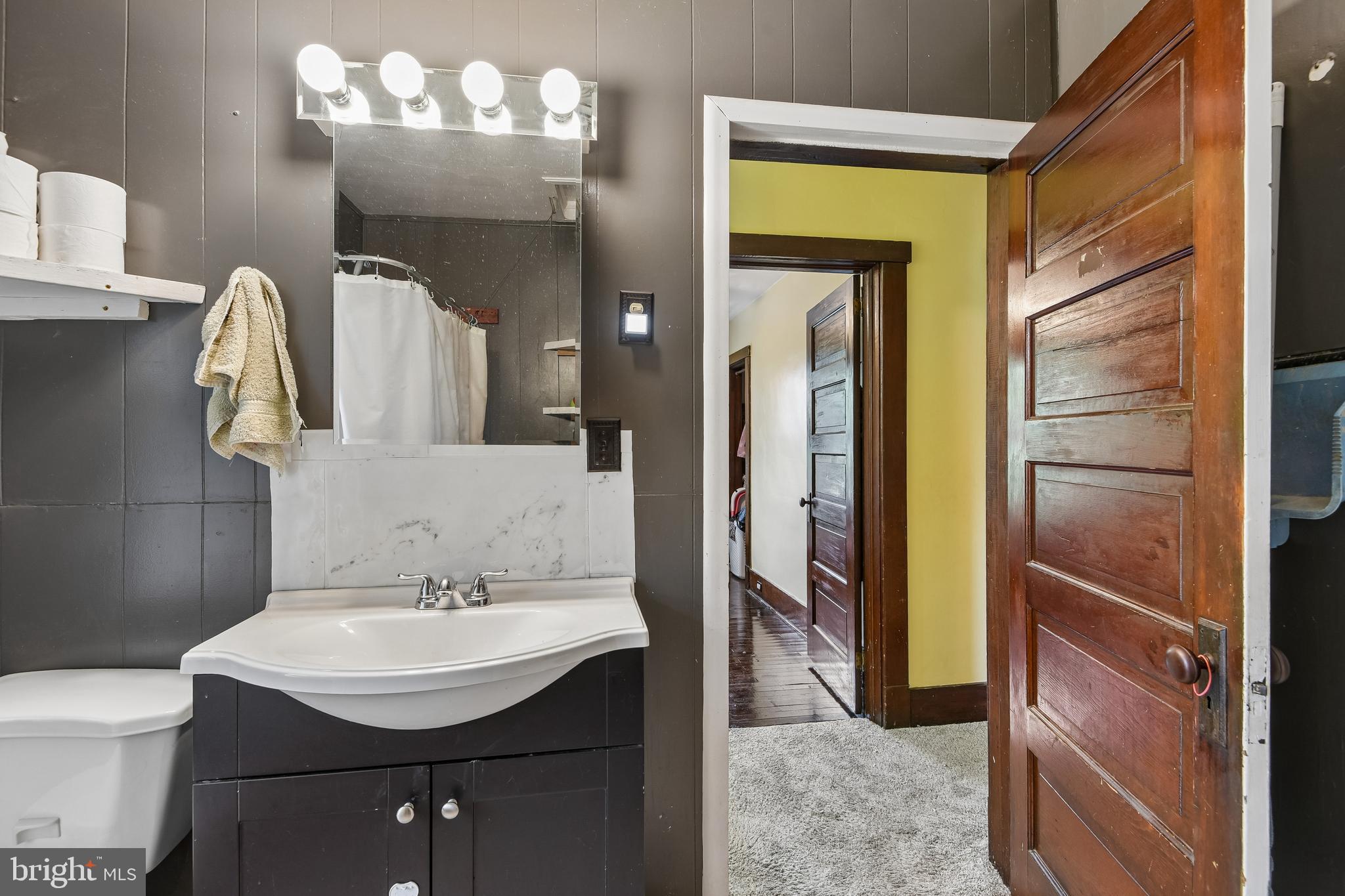 301 Custis Street Aberdeen, MD 21001 - Photo 17 of 29 a bathroom with a sink a light fixture and a mirror