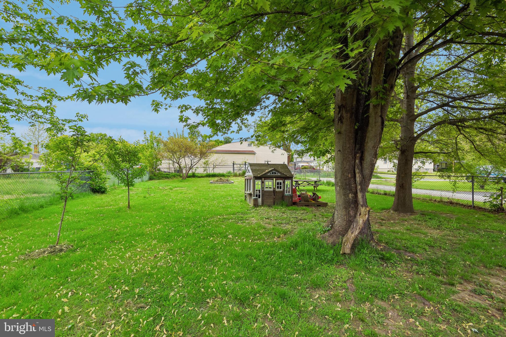 301 Custis Street Aberdeen, MD 21001 - Photo 24 of 29 a view of backyard with trees
