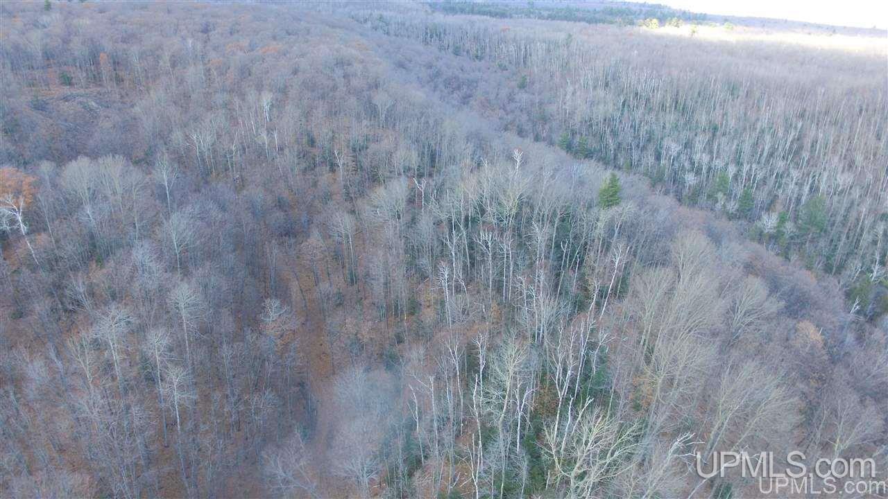Tbd Youngs Road Gwinn, MI 49841 - Photo 28 of 48 Gallery Image 28