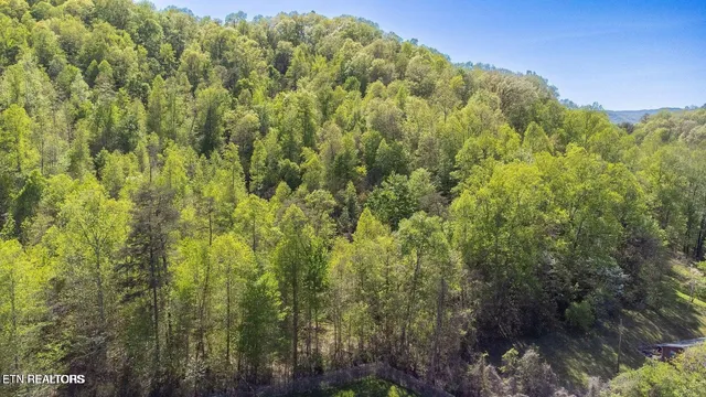 $189,000 | Morton Lane, Jellico, TN 37762