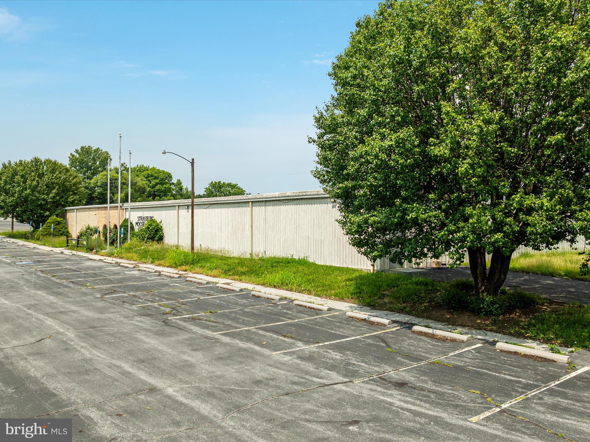 572 Red Bud Road Strasburg, VA 22657 - Photo 11 of 18 a view of a backyard
