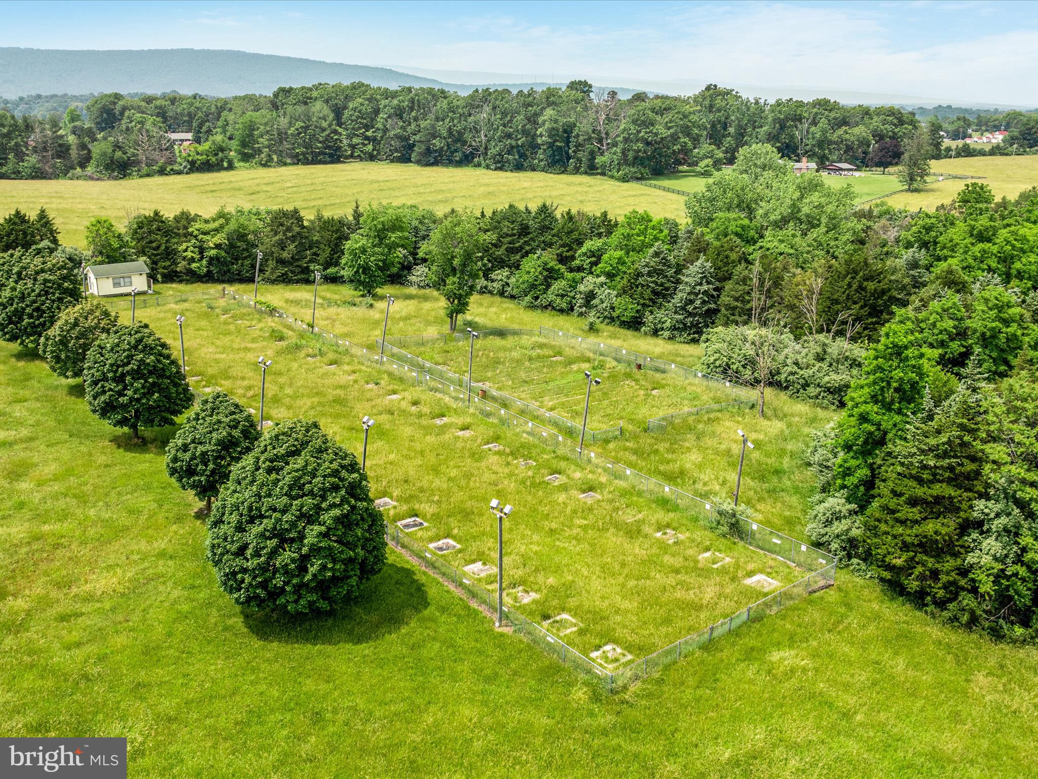 572 Red Bud Road Strasburg, VA 22657 - Photo 7 of 18 a view of an outdoor space and a yard
