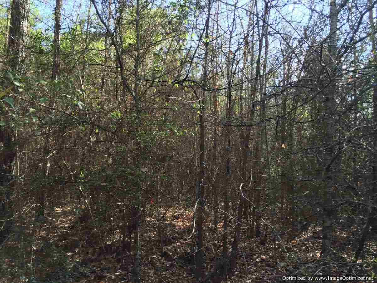 3115 Smiley Honea Road Magnolia, MS 39652 - Photo 11 of 19 Photo 11