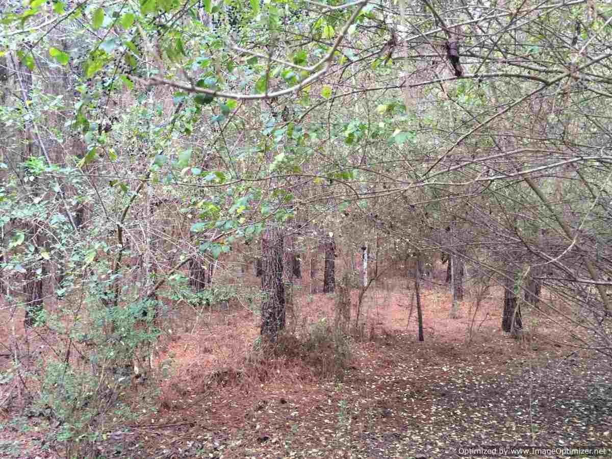 3115 Smiley Honea Road Magnolia, MS 39652 - Photo 13 of 19 Photo 13
