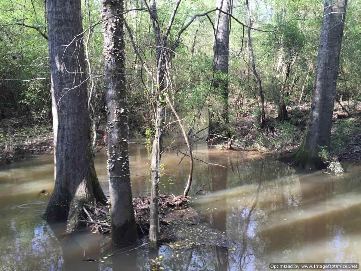 3115 Smiley Honea Road Magnolia, MS 39652 - Photo 16 of 19 Photo 16