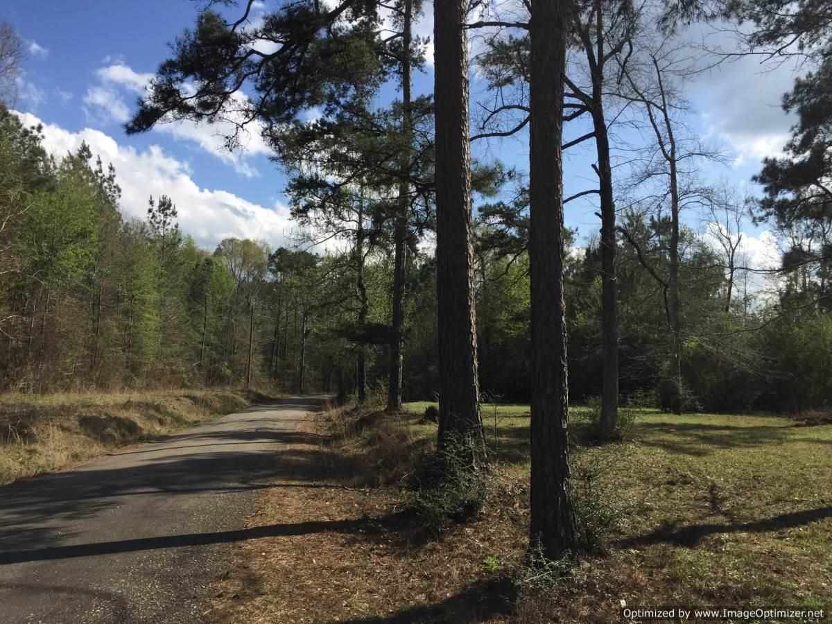 3115 Smiley Honea Road Magnolia, MS 39652 - Photo 3 of 19 Photo 3