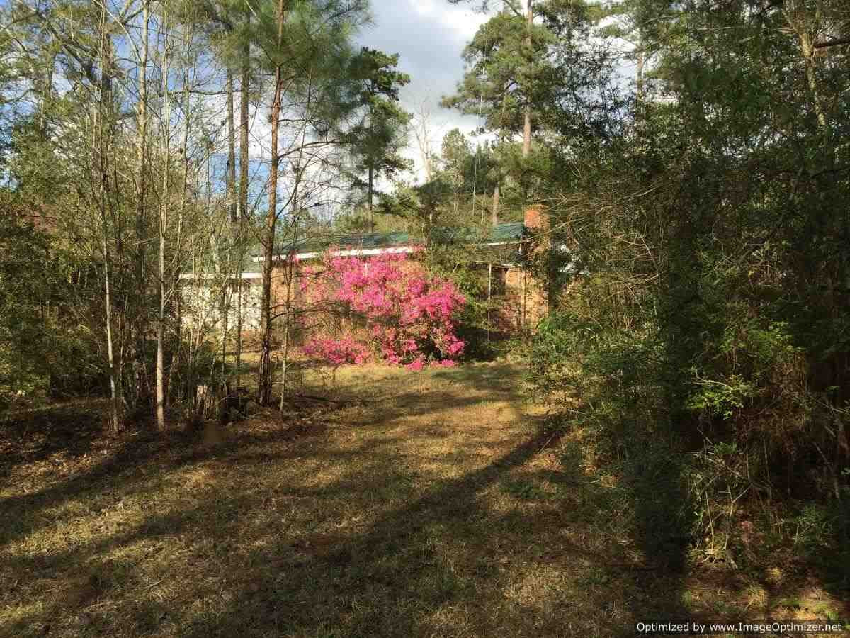 3115 Smiley Honea Road Magnolia, MS 39652 - Photo 7 of 19 Photo 7