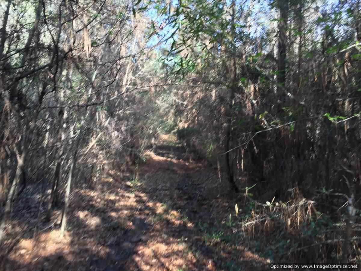 3115 Smiley Honea Road Magnolia, MS 39652 - Photo 10 of 19 Photo 10