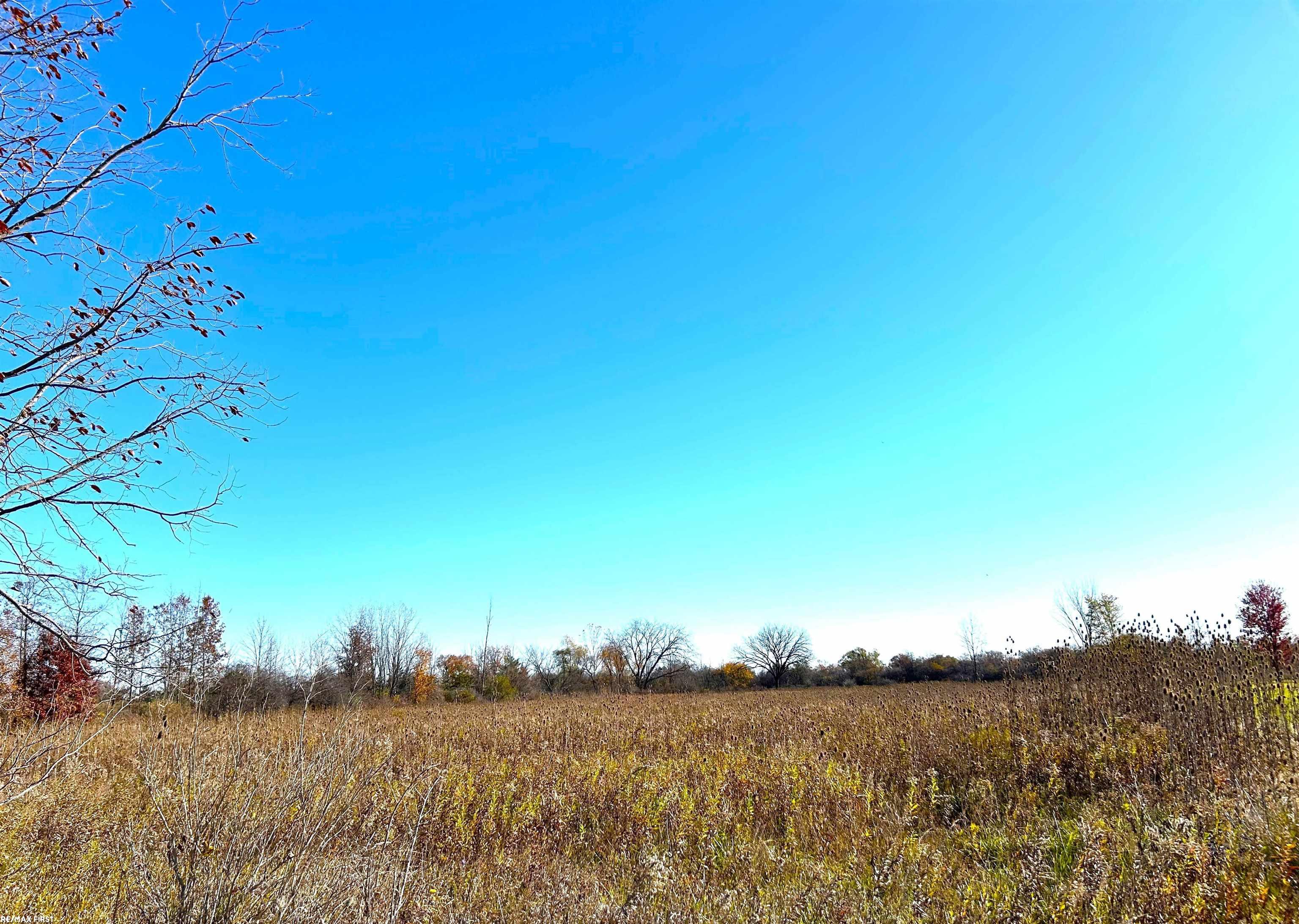0 Omo Road New Haven, MI 48048 - Photo 2 of 6