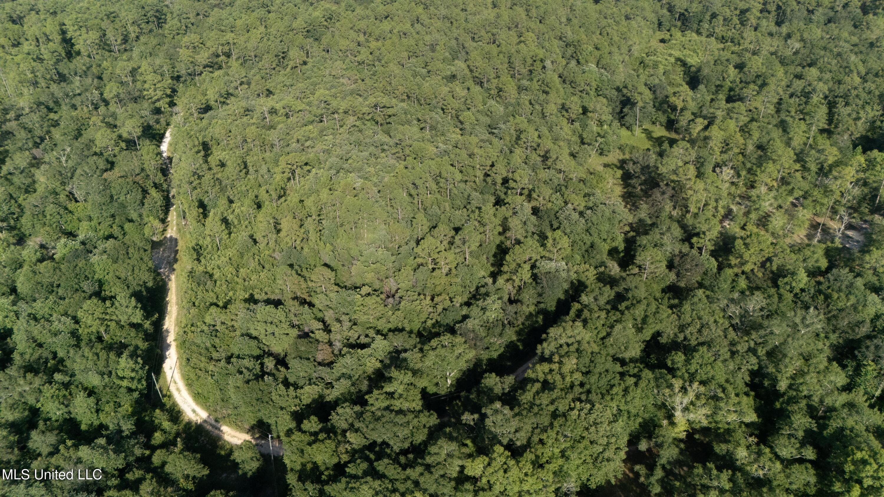 Ashmore Ridge Drive Vancleave, MS 39565 - Photo 11 of 12 Aerial View 10
