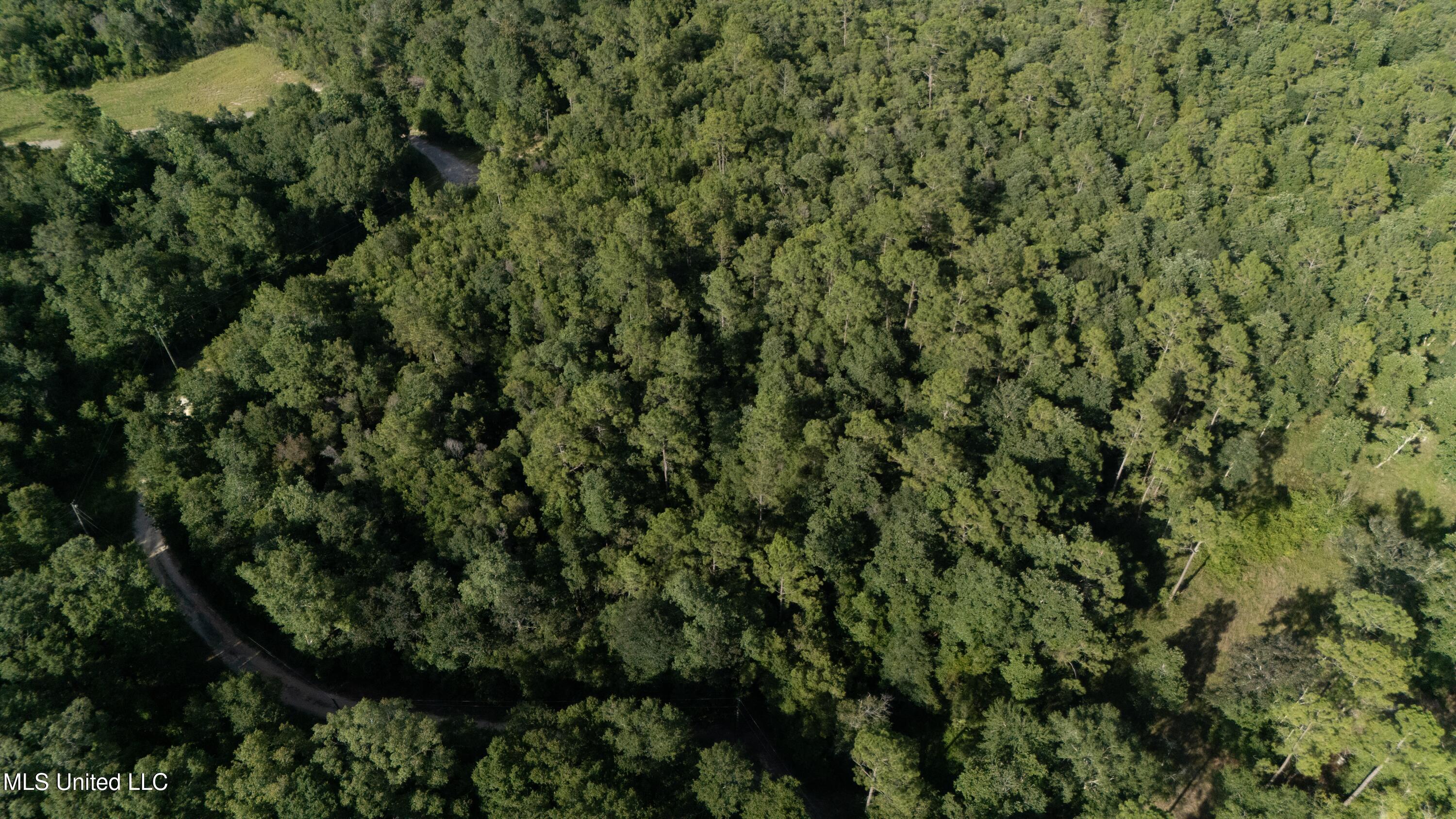 Ashmore Ridge Drive Vancleave, MS 39565 - Photo 12 of 12 Aerial View 11