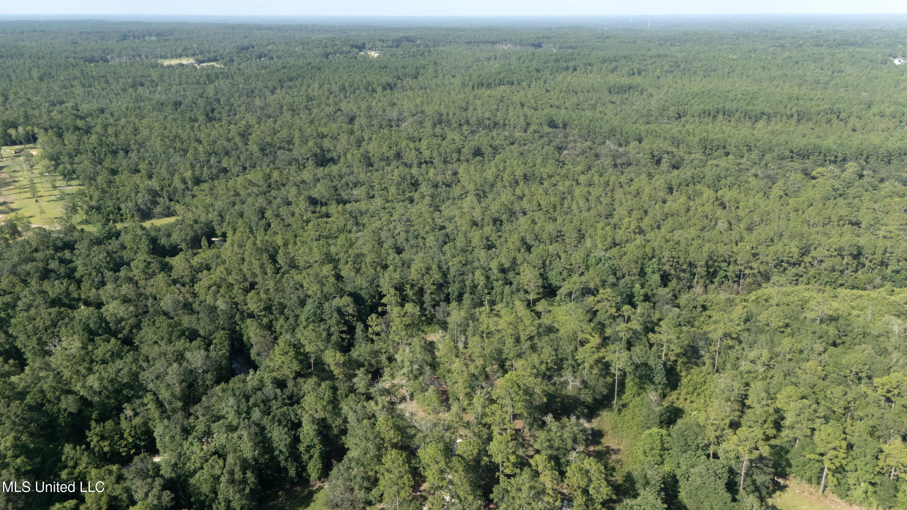 Ashmore Ridge Drive Vancleave, MS 39565 - Photo 3 of 12 Aerial View 2