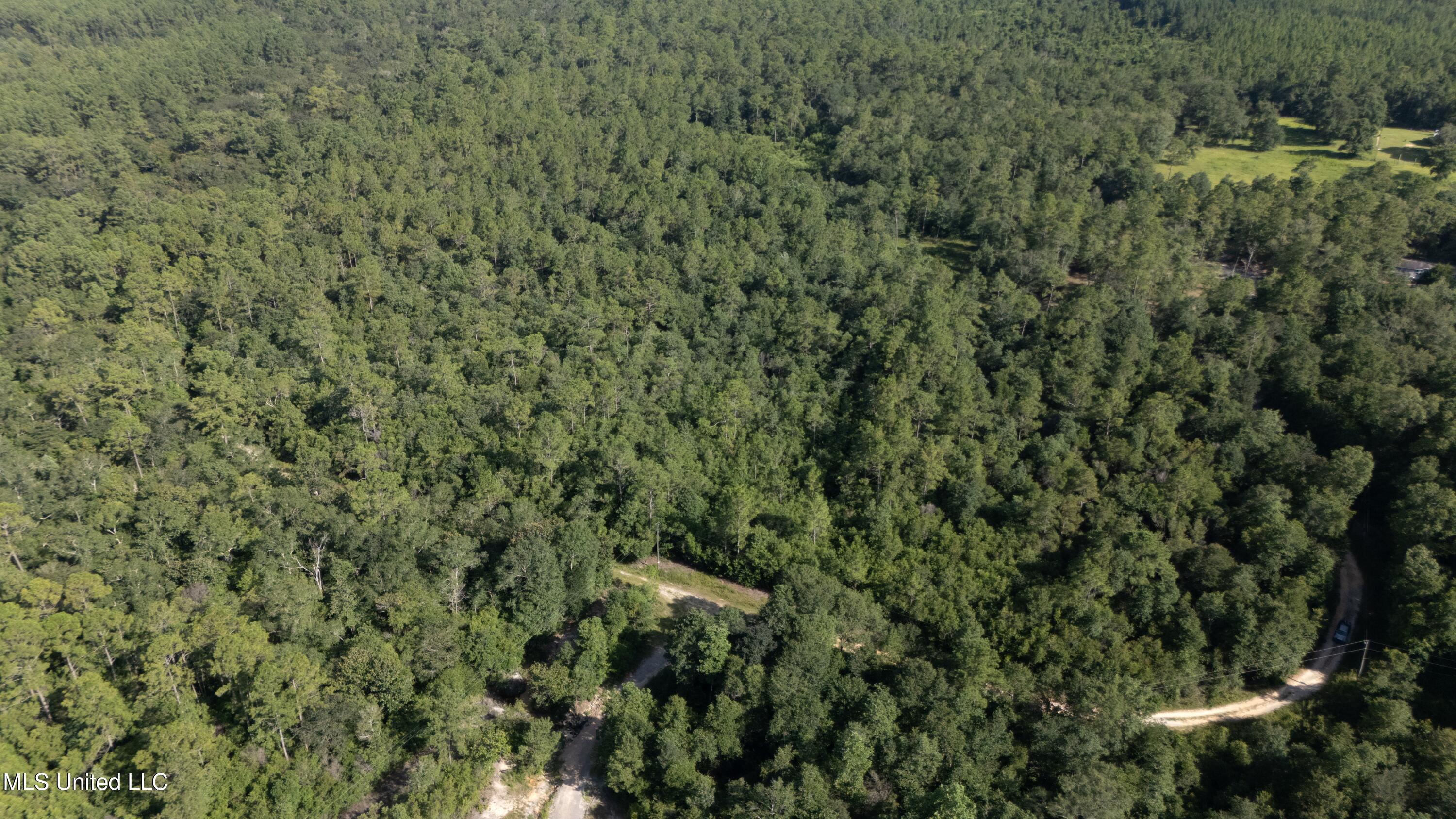 Ashmore Ridge Drive Vancleave, MS 39565 - Photo 4 of 12 Aerial View 3