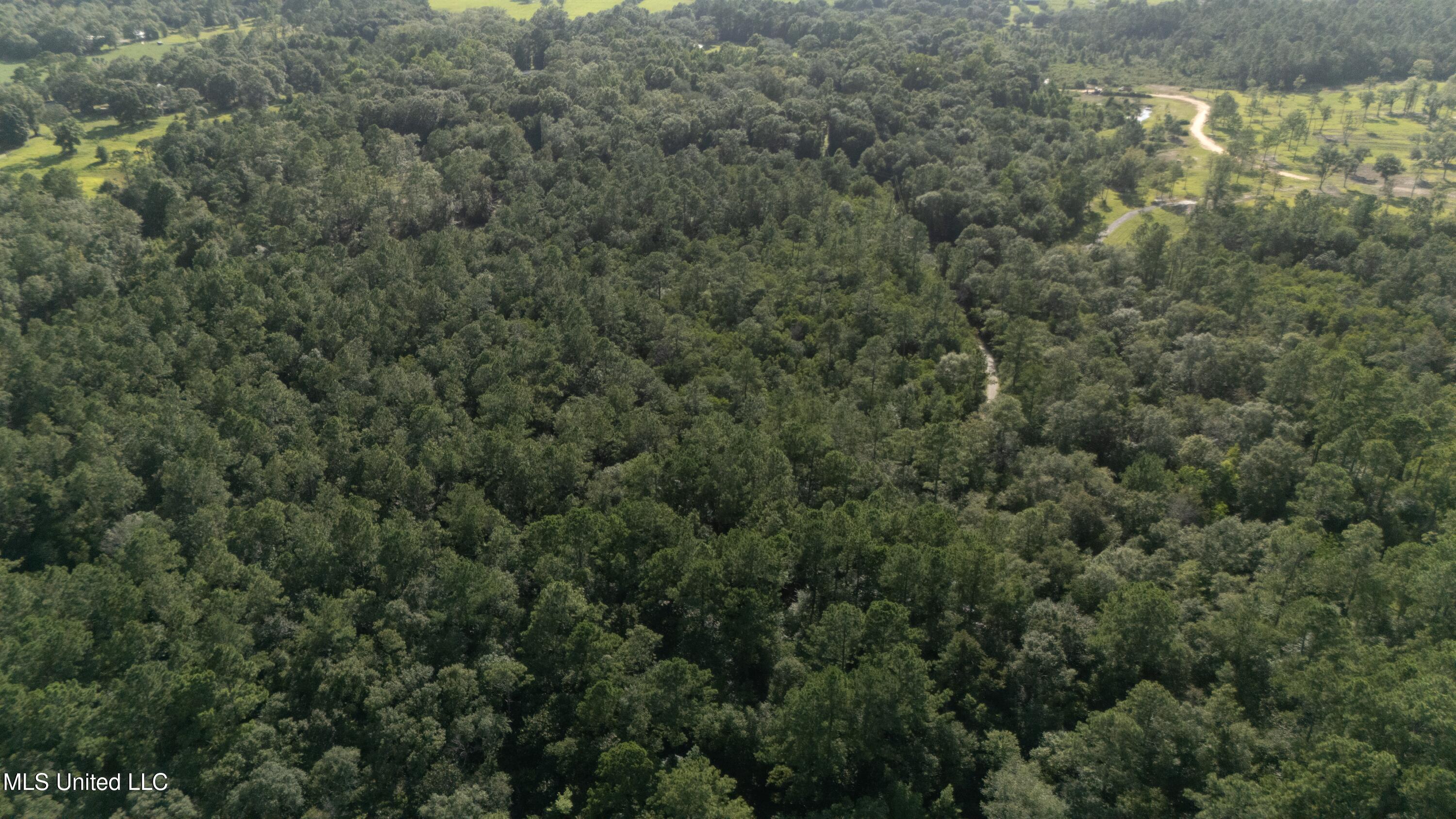 Ashmore Ridge Drive Vancleave, MS 39565 - Photo 6 of 12 Aerial View 5