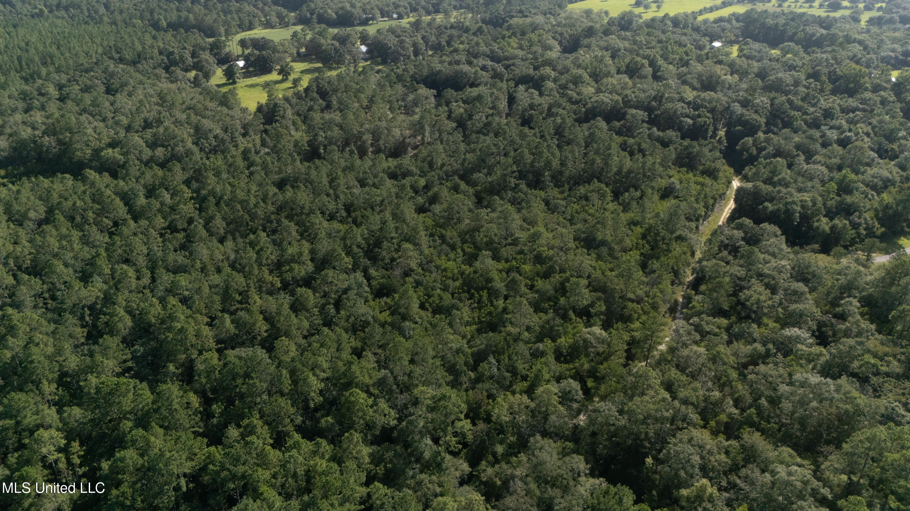Ashmore Ridge Drive Vancleave, MS 39565 - Photo 7 of 12 Aerial View 6