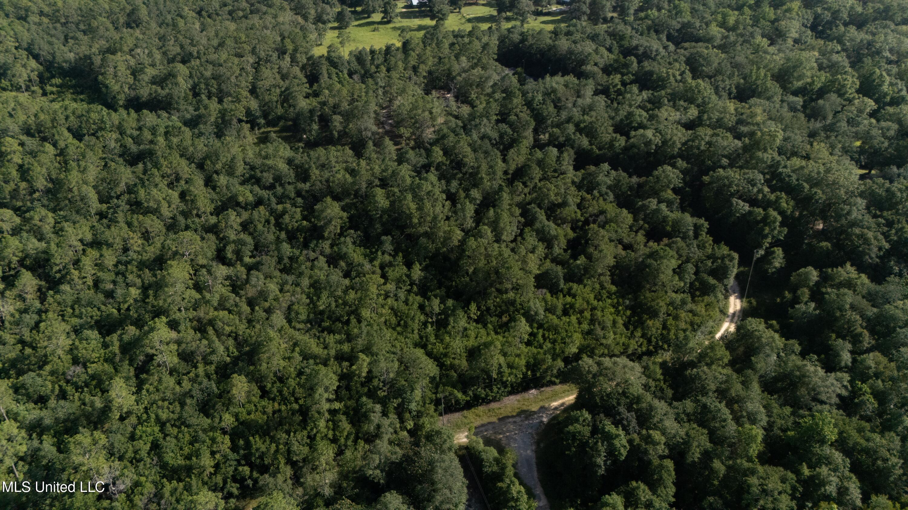 Ashmore Ridge Drive Vancleave, MS 39565 - Photo 8 of 12 Aerial View 7