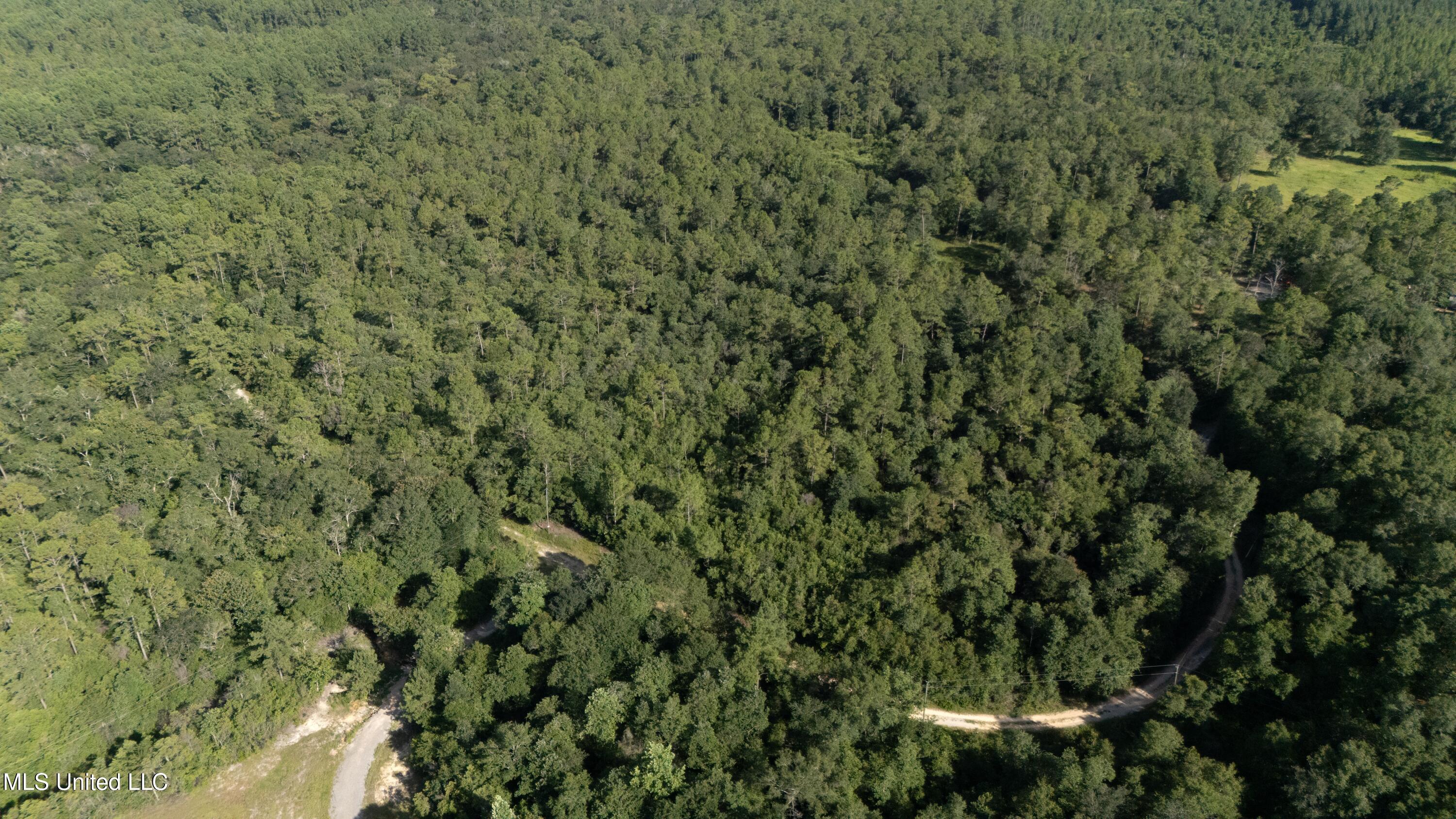 Ashmore Ridge Drive Vancleave, MS 39565 - Photo 9 of 12 Aerial View 8