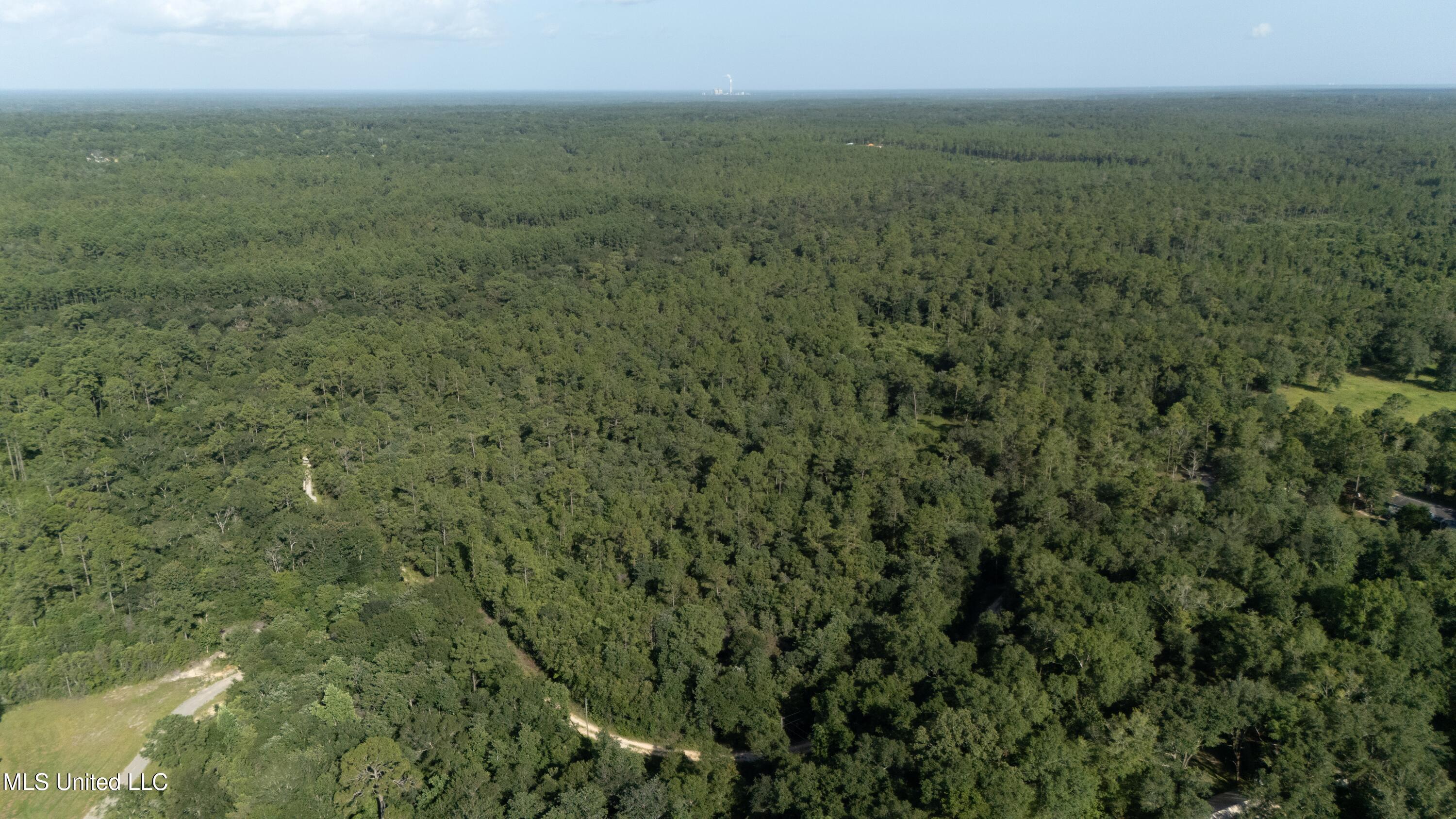 Ashmore Ridge Drive Vancleave, MS 39565 - Photo 10 of 12 Aerial View 9