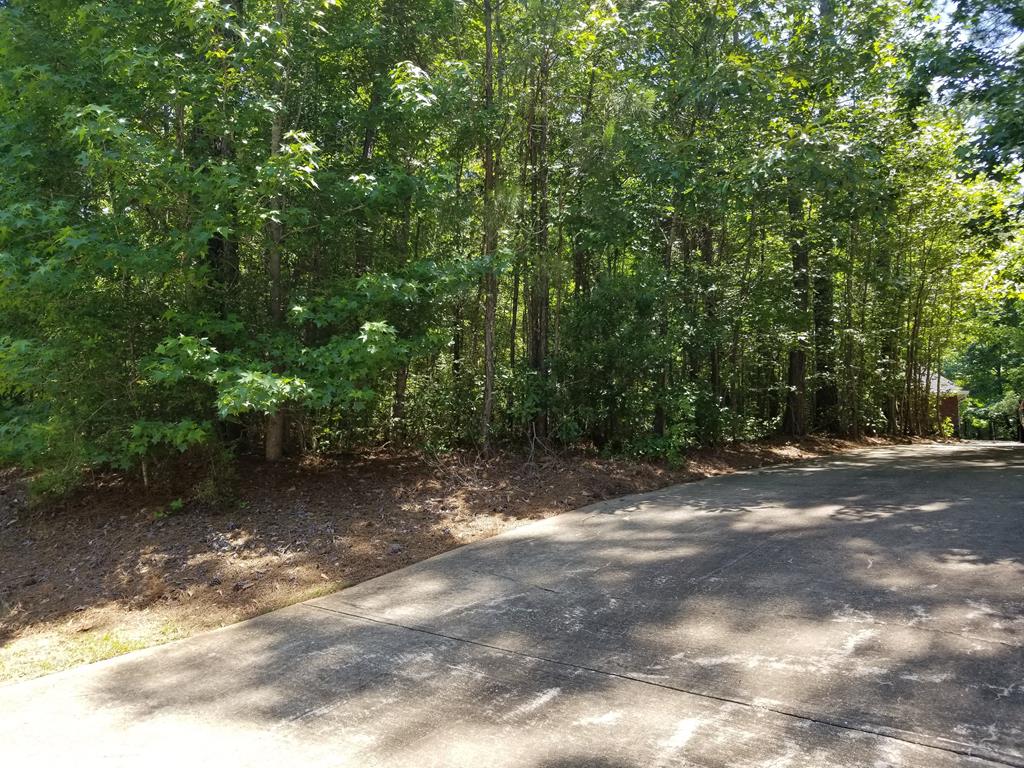 27 Laurel Ridge Lane Cataula, GA 31804 - Photo 38 of 41 Driveway