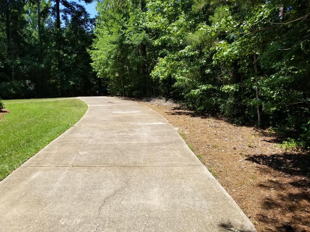 27 Laurel Ridge Lane Cataula, GA 31804 - Photo 4 of 41 Driveway