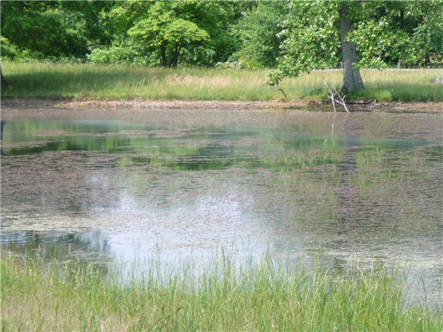 846 Gudger Road Sewanee, TN 37375 - Photo 7 of 9 Across the Pond