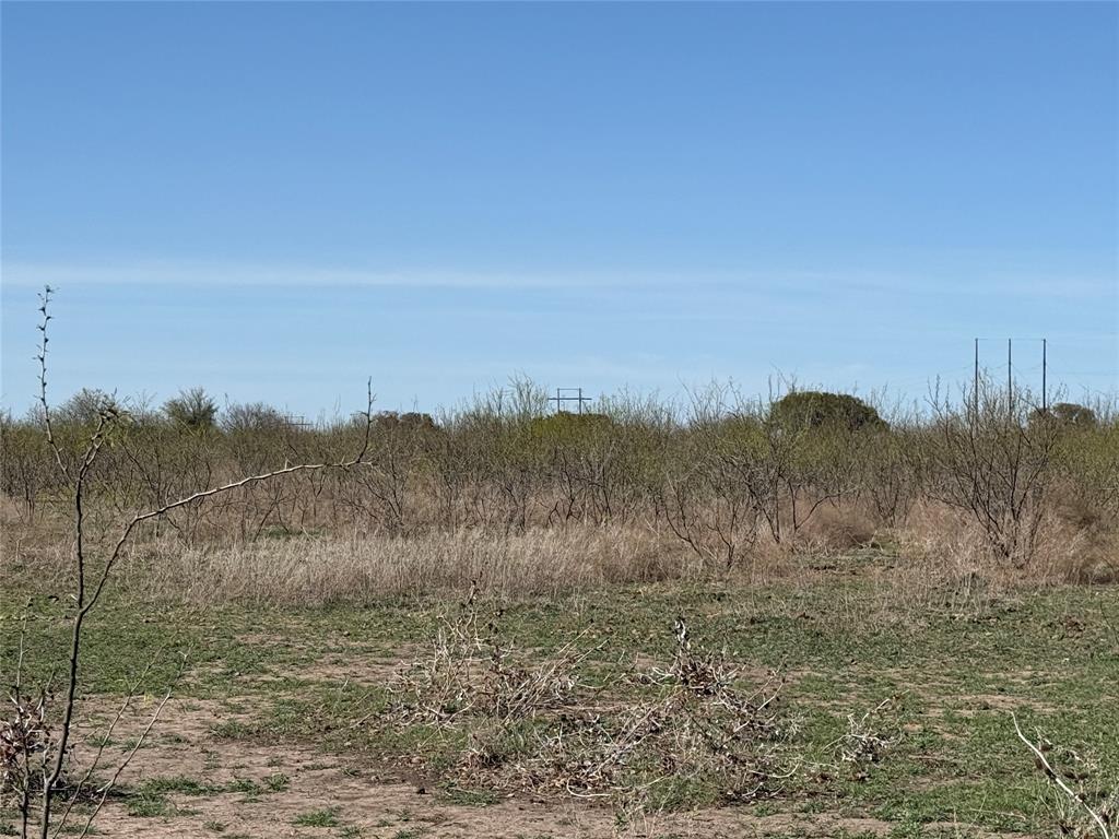 4531 County Road 344 Early, TX 76802 - Photo 4 of 6