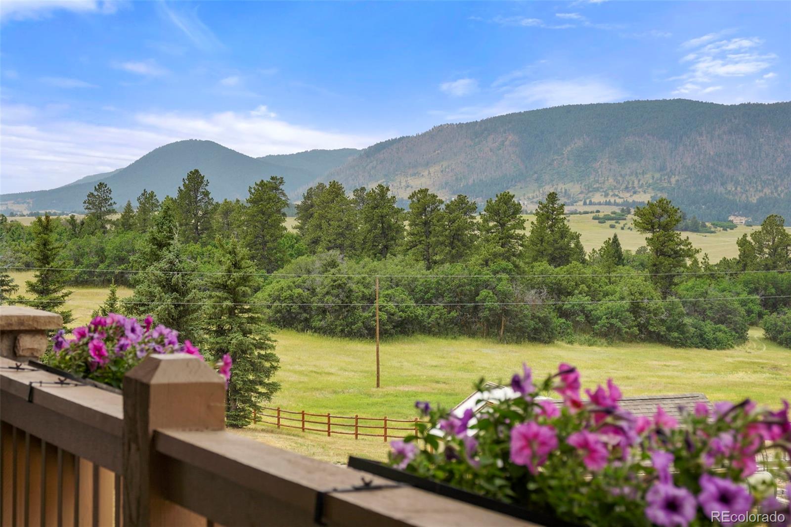 9610 South Perry Park Road Larkspur, CO 80118 - Photo 3 of 50