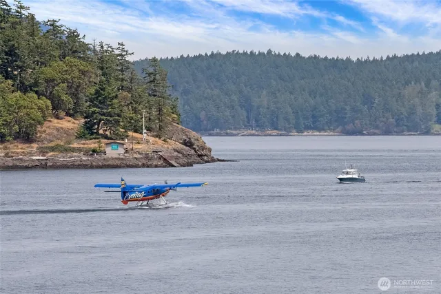 a view of a park with an outdoor space