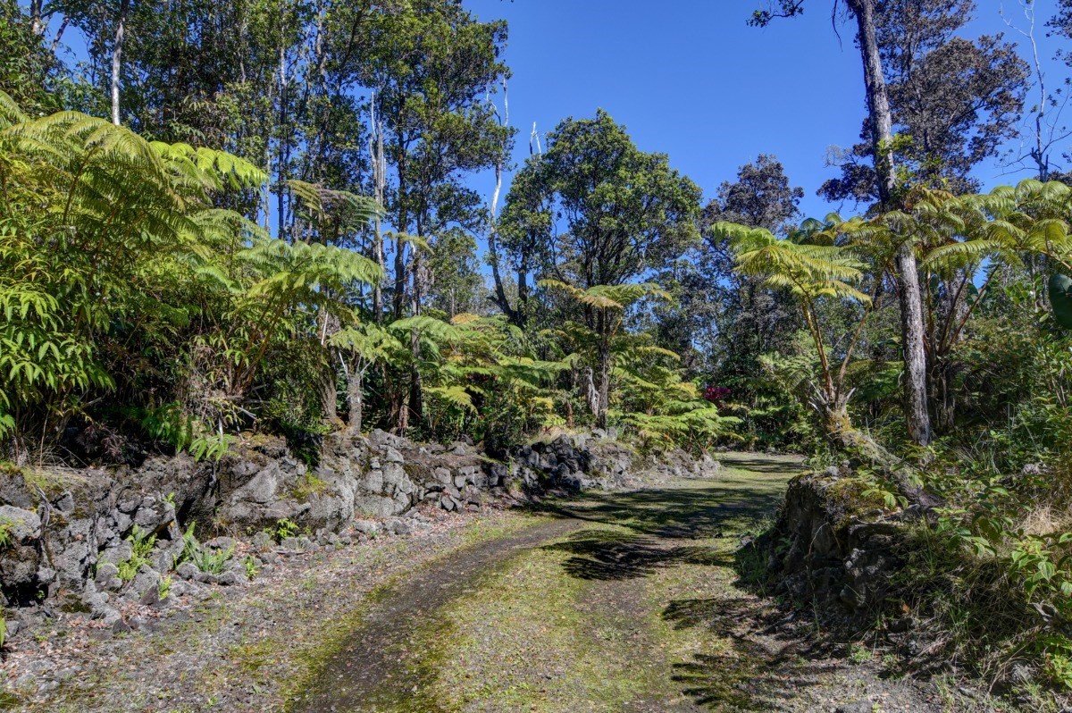 11-3202 Nalehua Road Volcano, HI 96785 - Photo 11 of 25 Gallery Image 11
