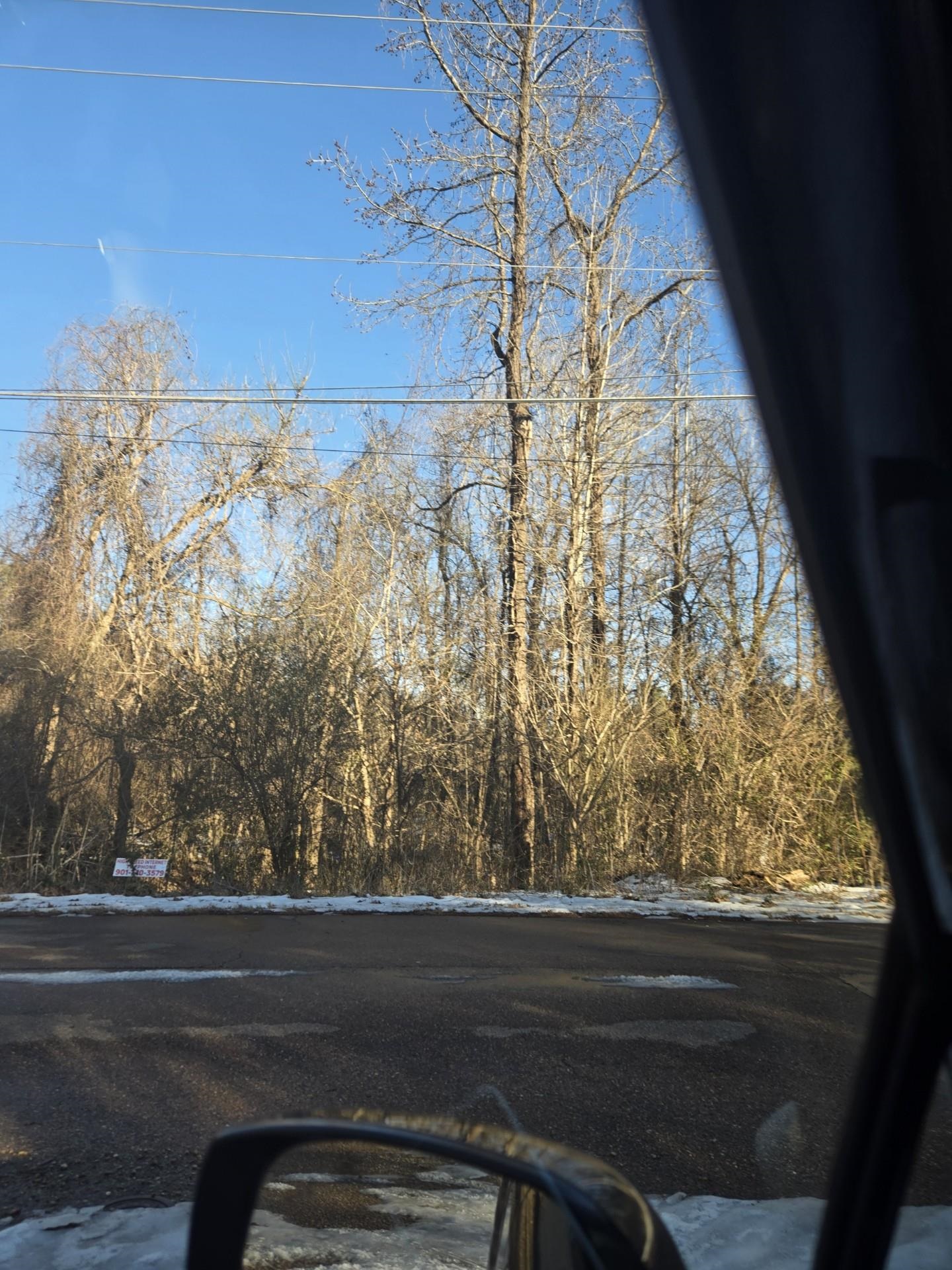 0 North Circle Road North Memphis, TN 38127 - Photo 4 of 5