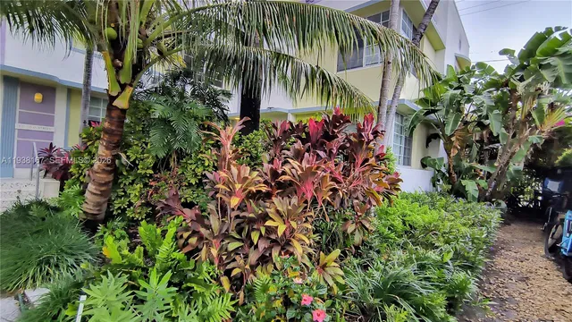 a close up of a plant in a garden