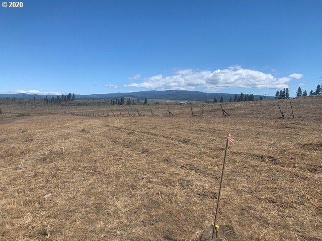 Esteb Road, Unit 2 Centerville, WA 98613 - Photo 14 of 16 Gallery Image 14