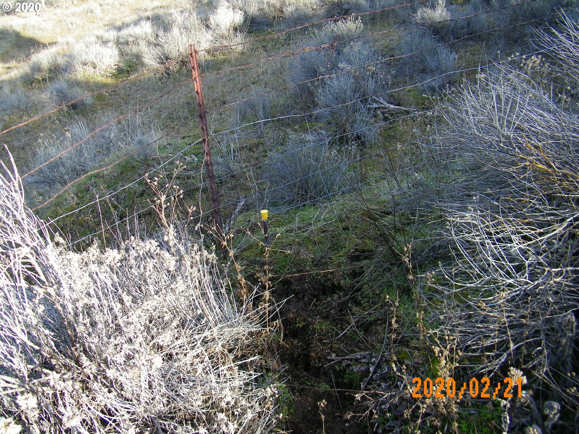 Esteb Road, Unit 2 Centerville, WA 98613 - Photo 10 of 16 Gallery Image 10