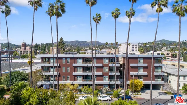 a view of a city with tall buildings and a palm tree