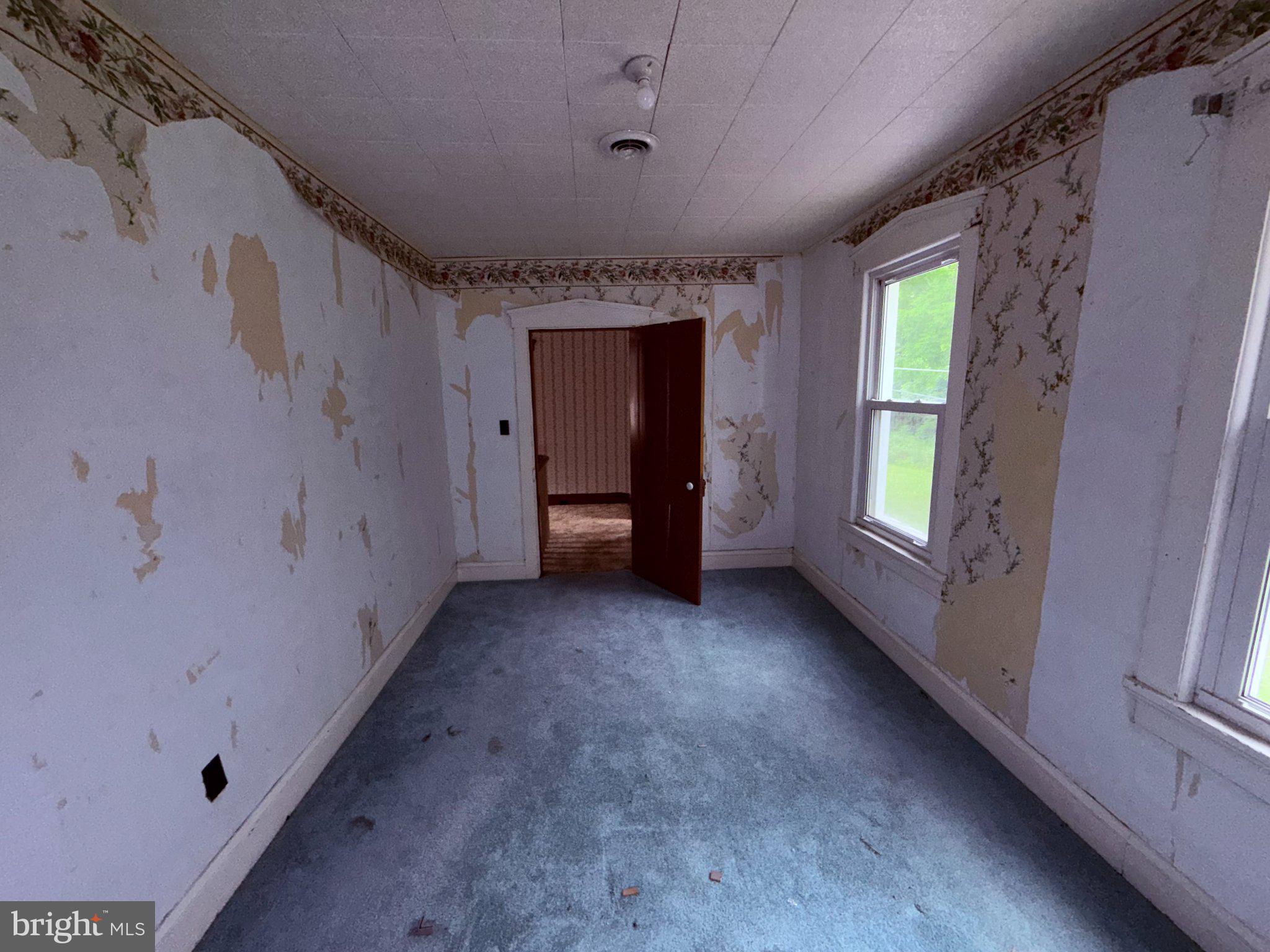 18705 Temperance Row Barton, MD 21521 - Photo 57 of 62 Blank canvas for your vision.