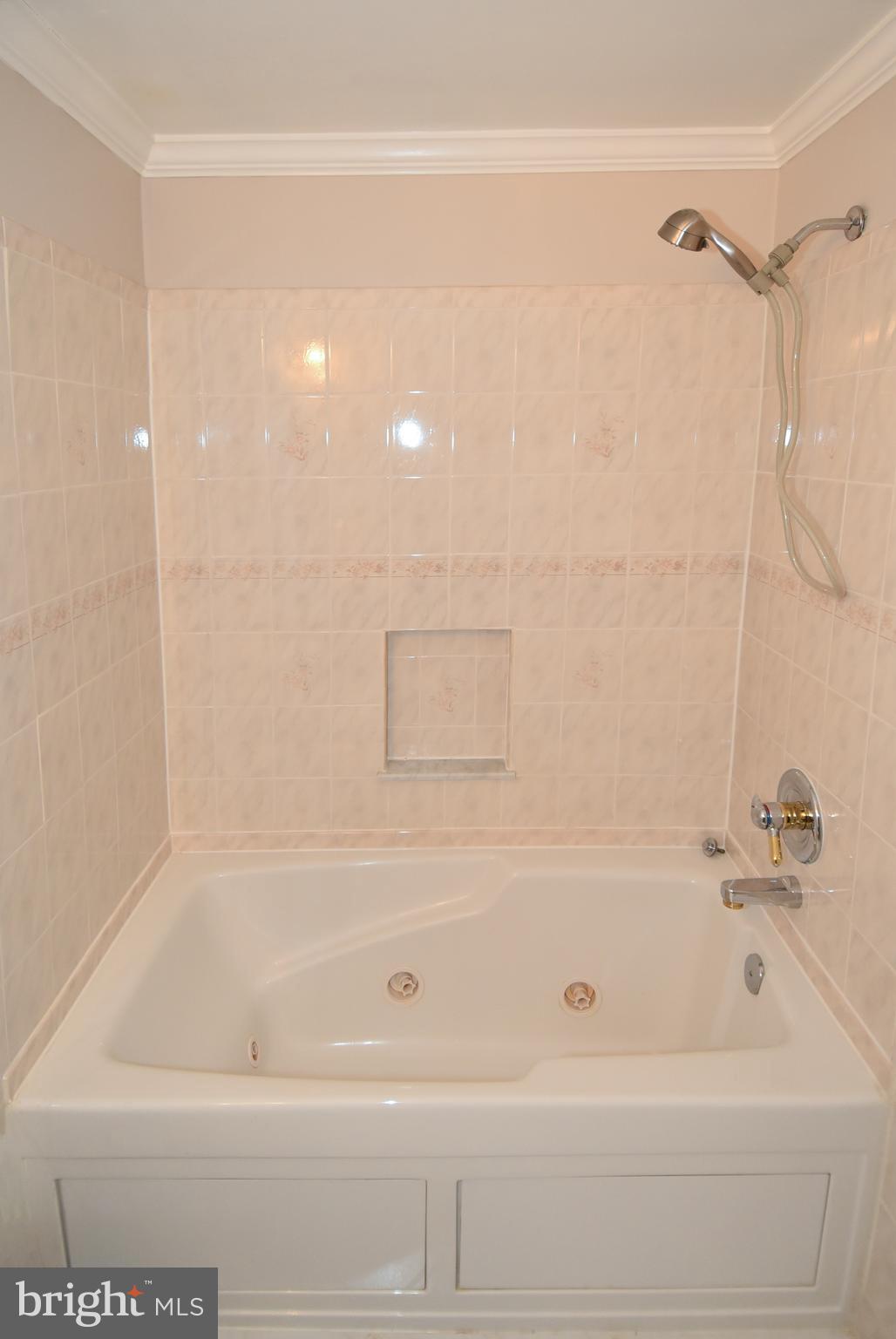 27111 Purdum Road Damascus, MD 20872 - Photo 35 of 84 HALLWAY BATHROOM OVERSIZED JETTED TUB/SHOWER