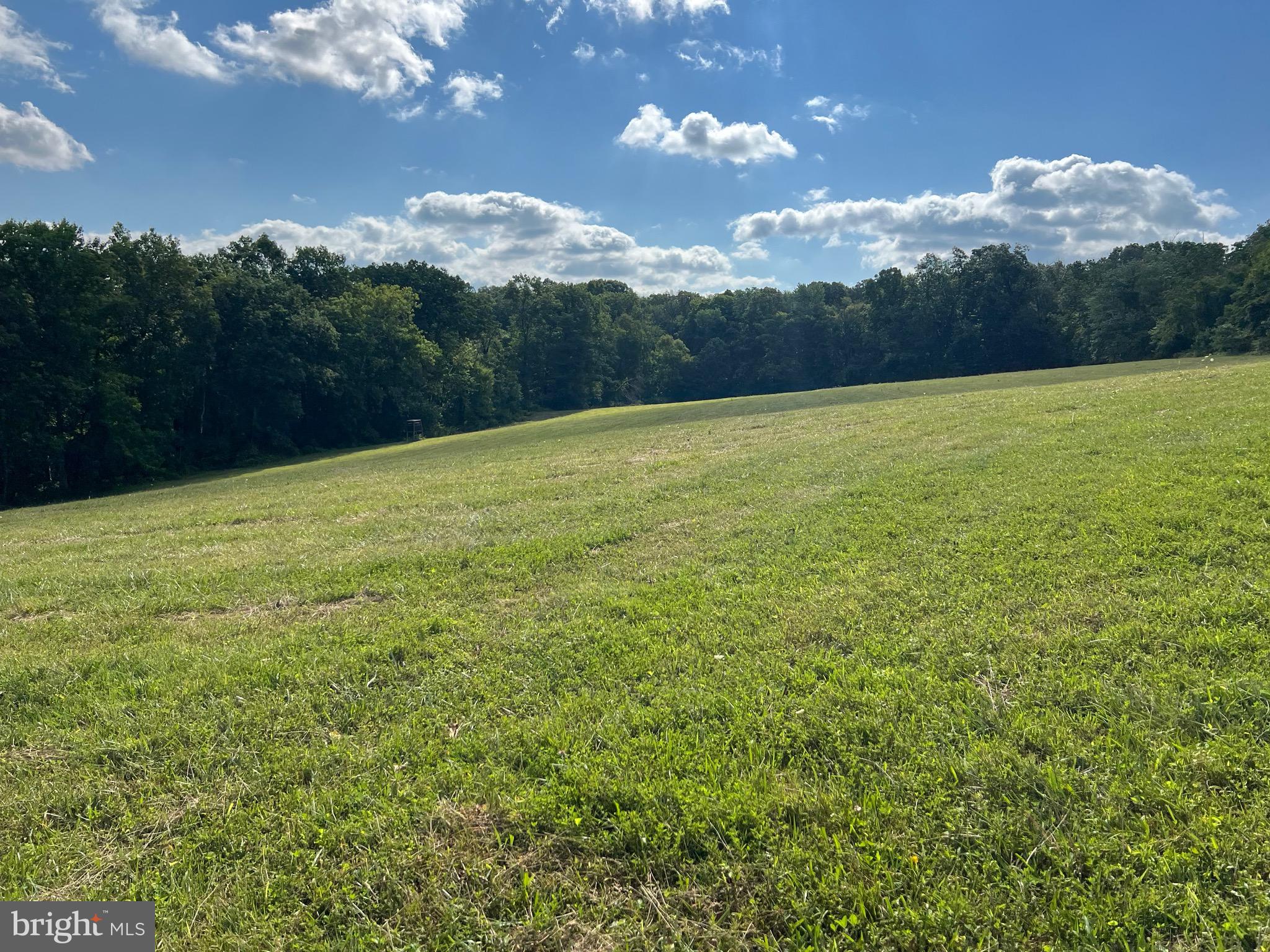 27111 Purdum Road Damascus, MD 20872 - Photo 77 of 84 BEAUTIFUL VIEWS